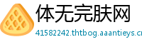 体无完肤网